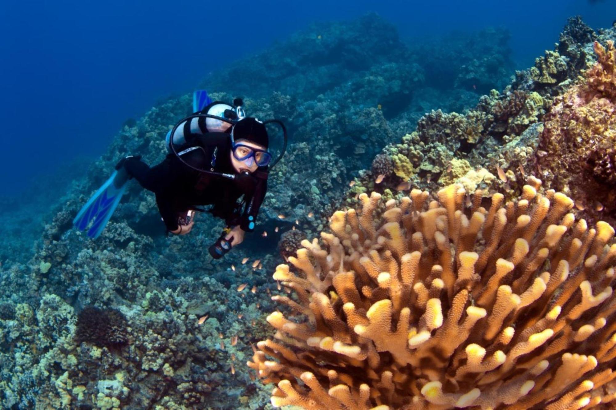 Paki Maui 424 Villa Kahana Dış mekan fotoğraf